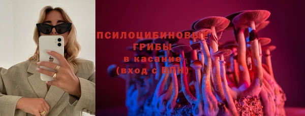 мдпв Киреевск