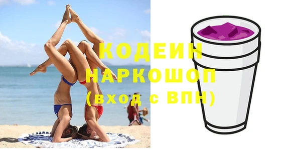 мдпв Киреевск