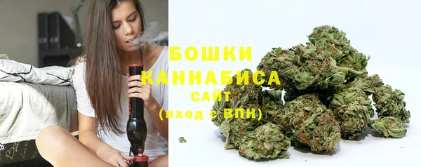 мдпв Киреевск