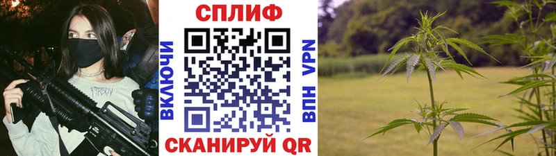 Купить  Лабинск  Каннабис ГИДРОПОН 
